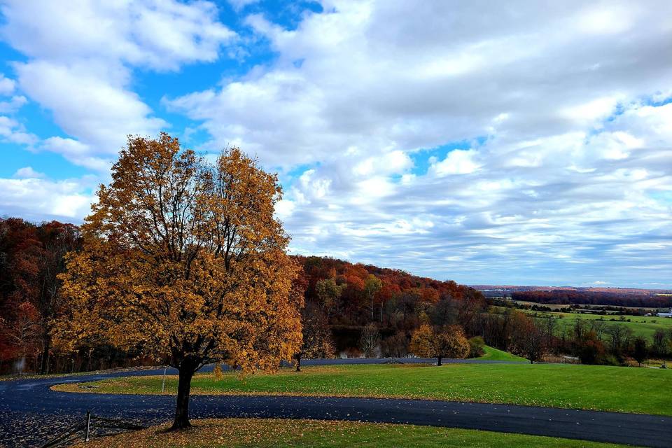 Autumn at The Lodges