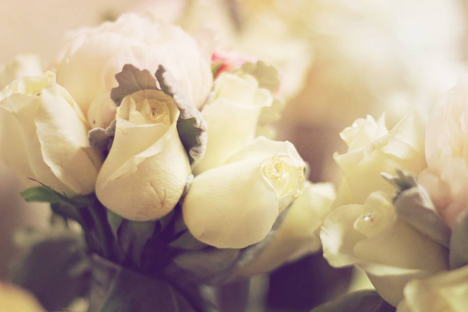 ECI Photography