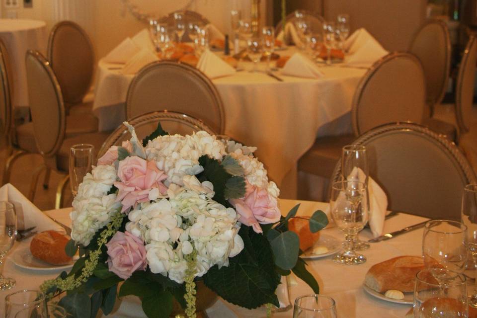 White and pink flowers