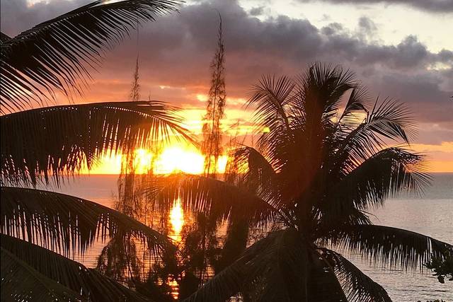 Jerry's Sunset Travel Agency