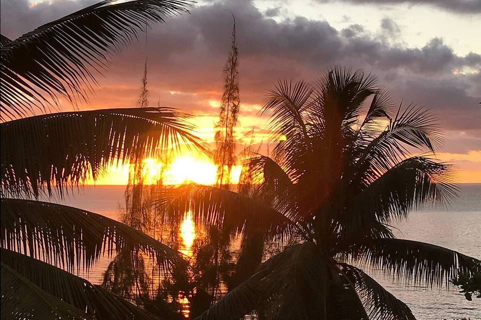 Jerry's Sunset Travel Agency