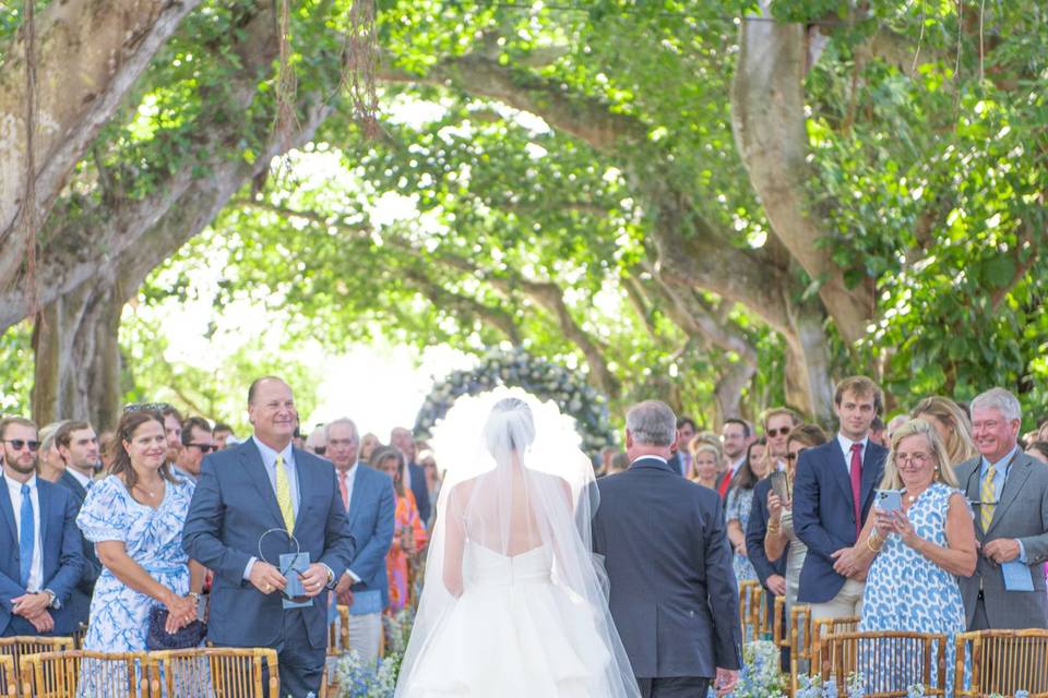 Bride and father walk down the aisle