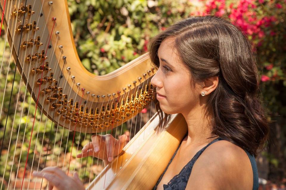 Liska Yamada, Harpist