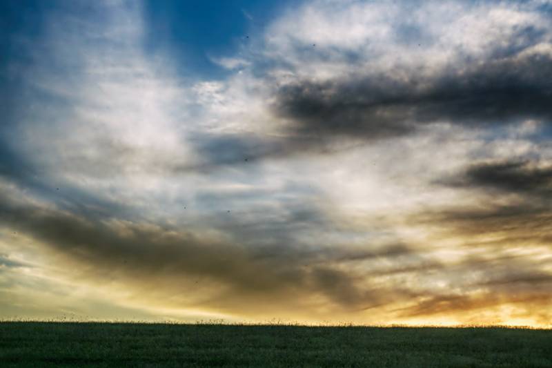 Rivas Photography