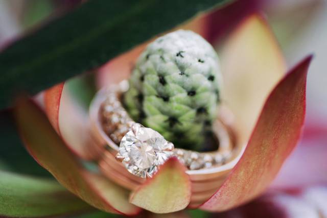 Michelle Lauren Photography