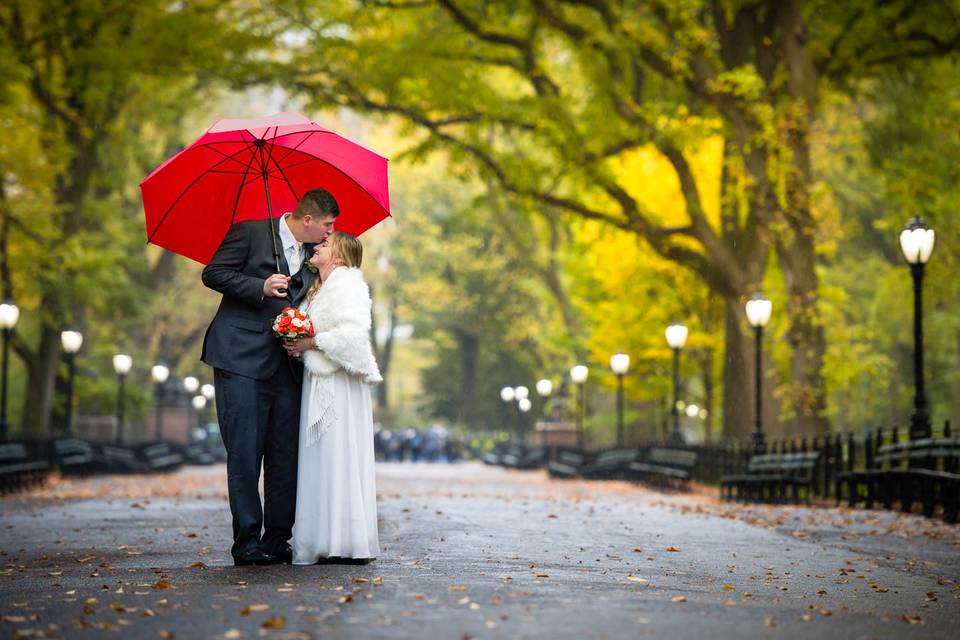 Wedding session in Central Park