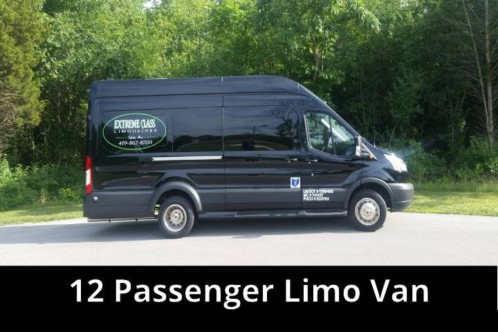 12 Passenger Limo Van