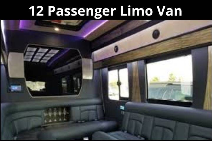 12 Passenger Limo Van