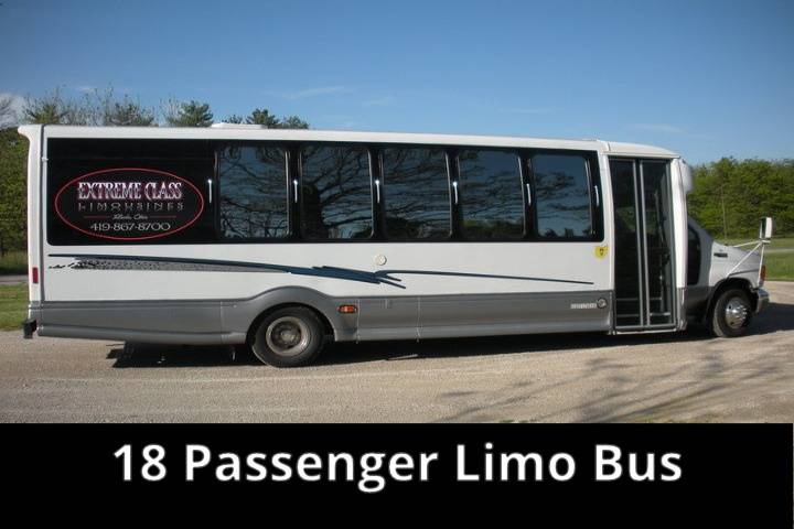 18 Passenger Limo Party Bus