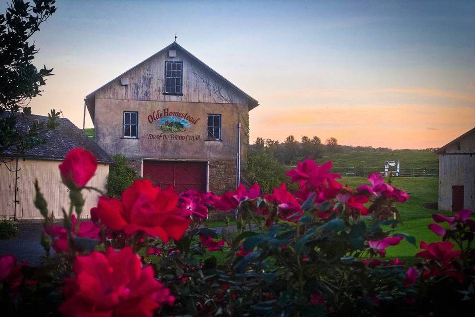 Bank Barn Draping