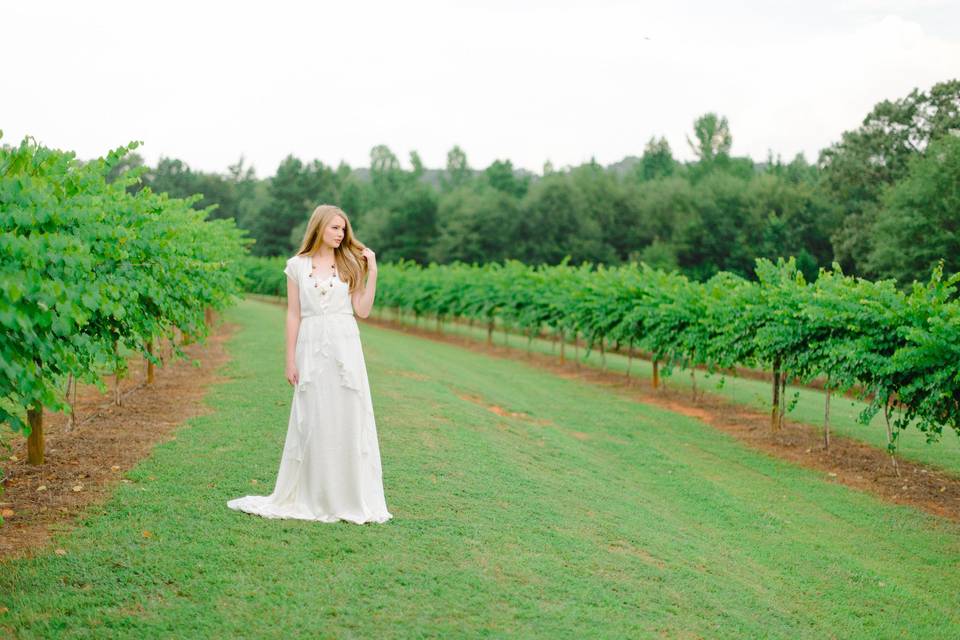 Farm at High Shoals Vineyard