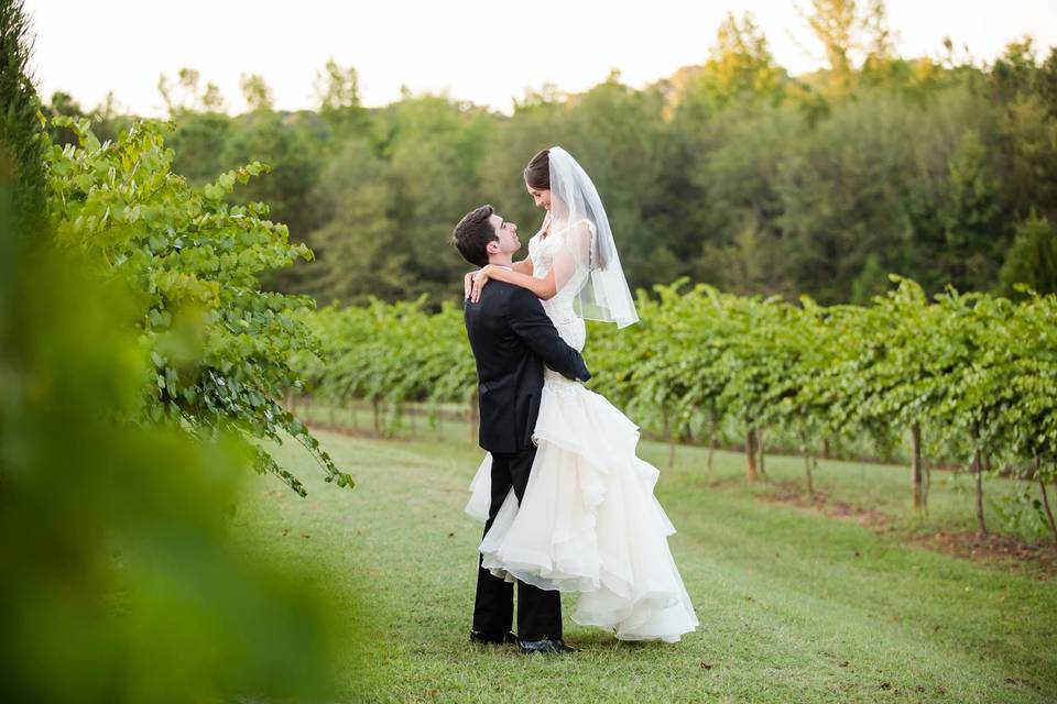 Farm at High Shoals Vineyard