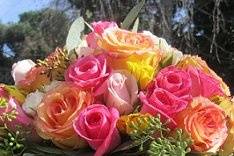 Burns Florist