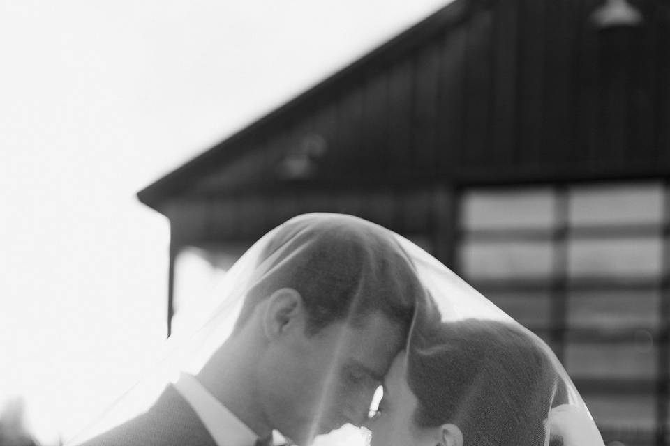 Anna Layne Photography