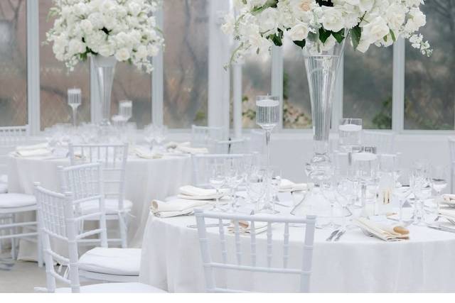 Classic white