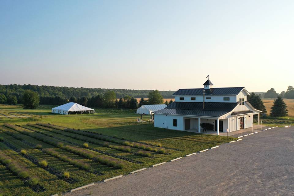 Golden Hour at farm