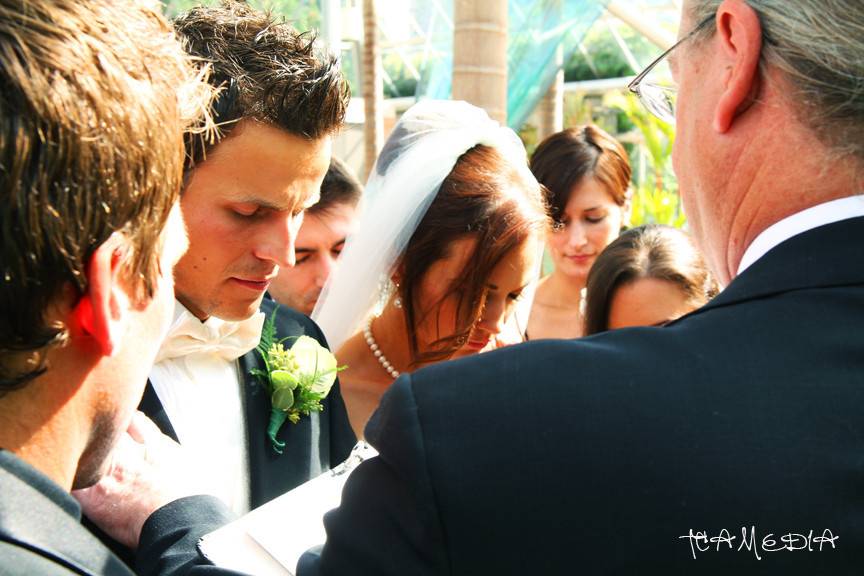 TCA Wedding Cinema
