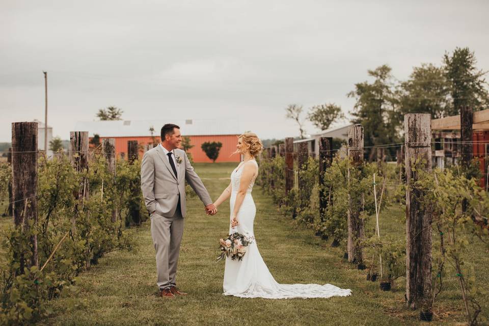 The Barn & Vineyard