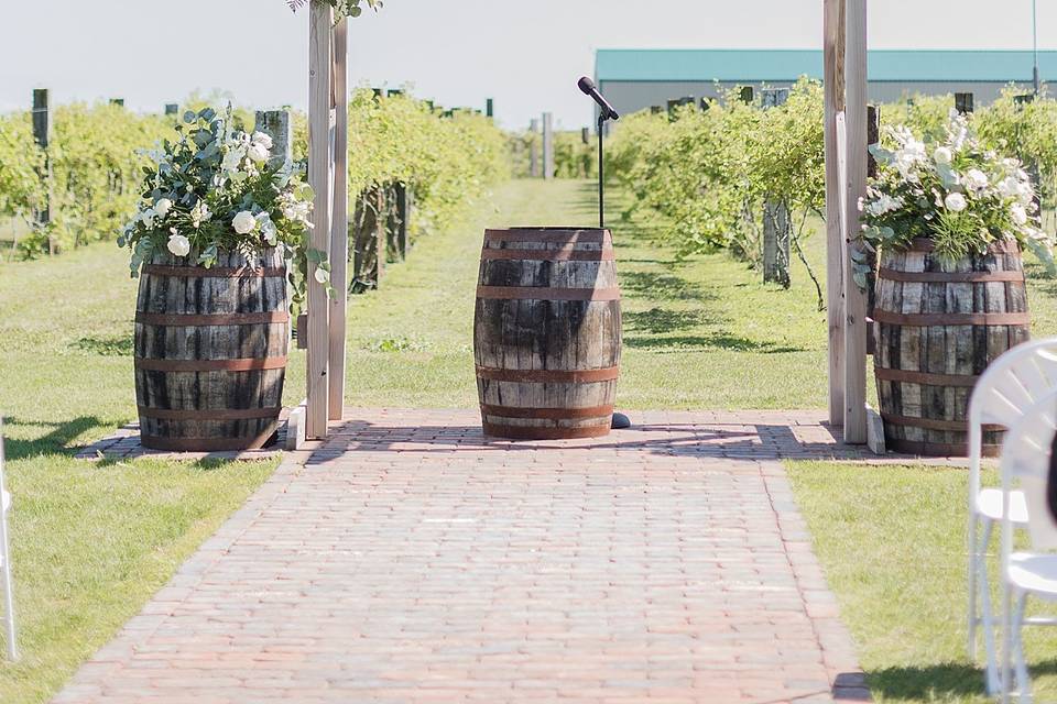 The Barn & Vineyard