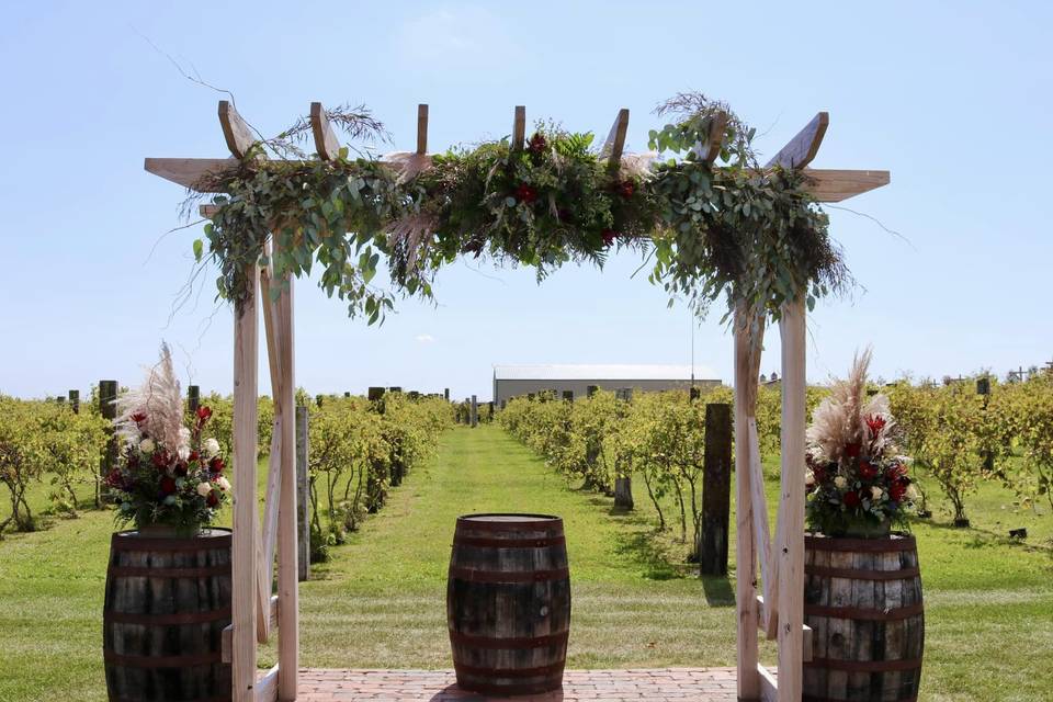 The Barn & Vineyard