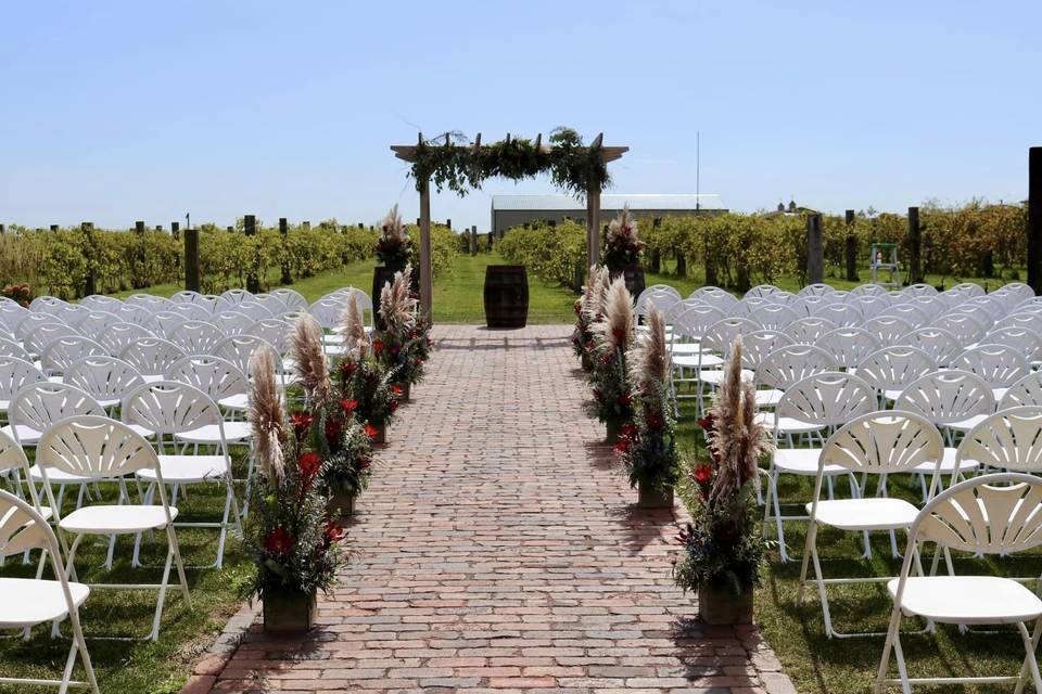 The Barn & Vineyard