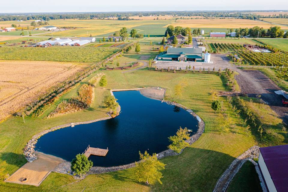 The Barn & Vineyard