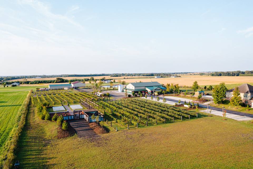 The Barn & Vineyard