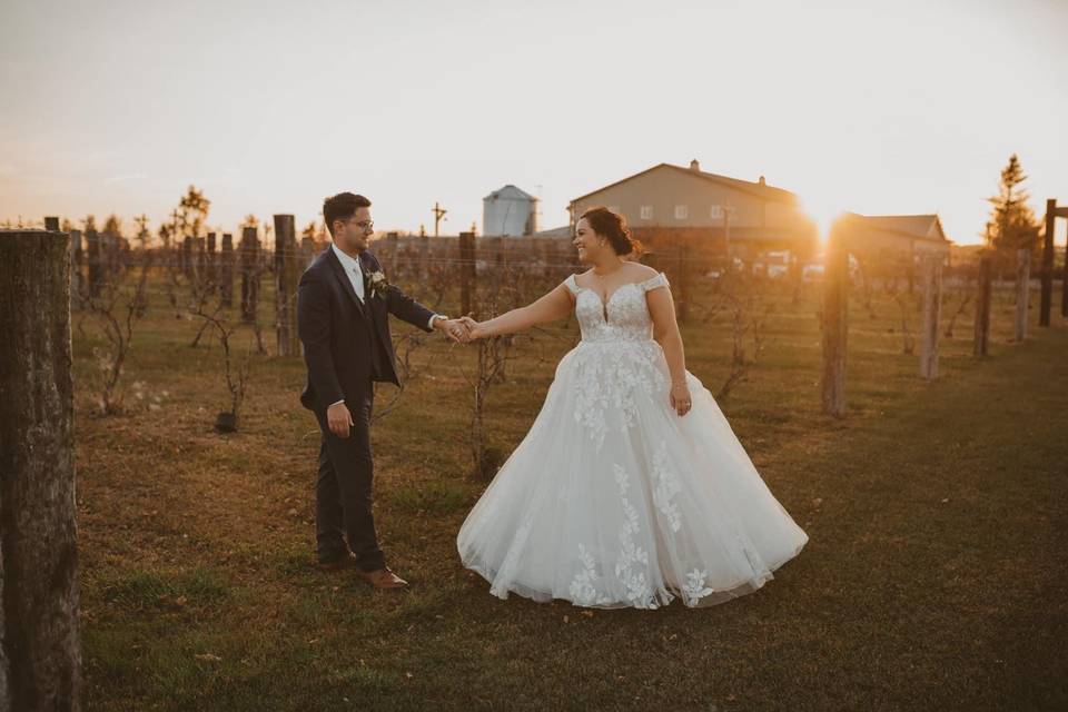 The Barn & Vineyard