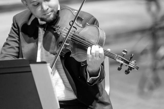 Elysium violin black white