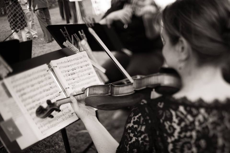 Elysium Violin