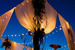 Vini's Party Rentals