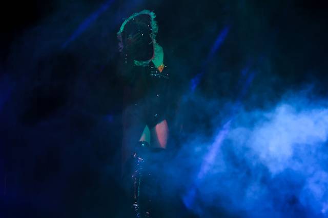 Visions and Vibes Photography