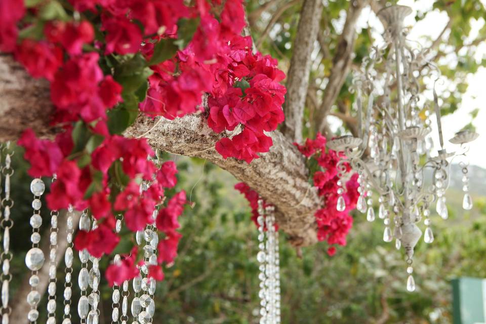 Even the trees were decorated at this dreamy St. Thomas Beach Reception