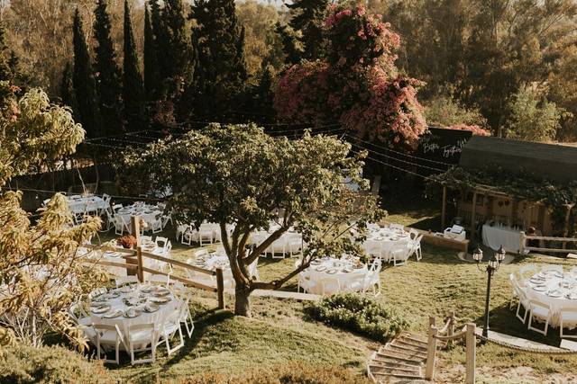 Dinner Space