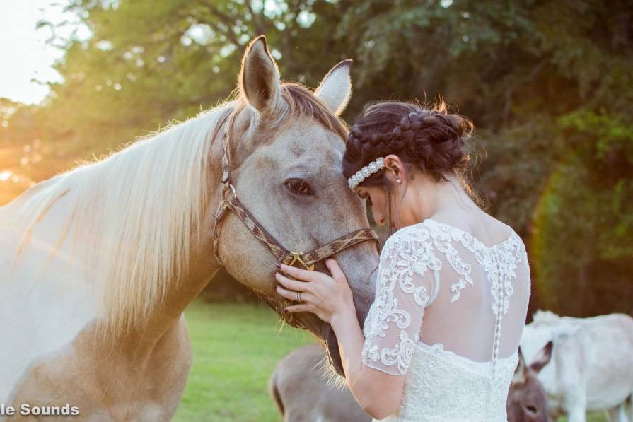 Bridal Session with Horse