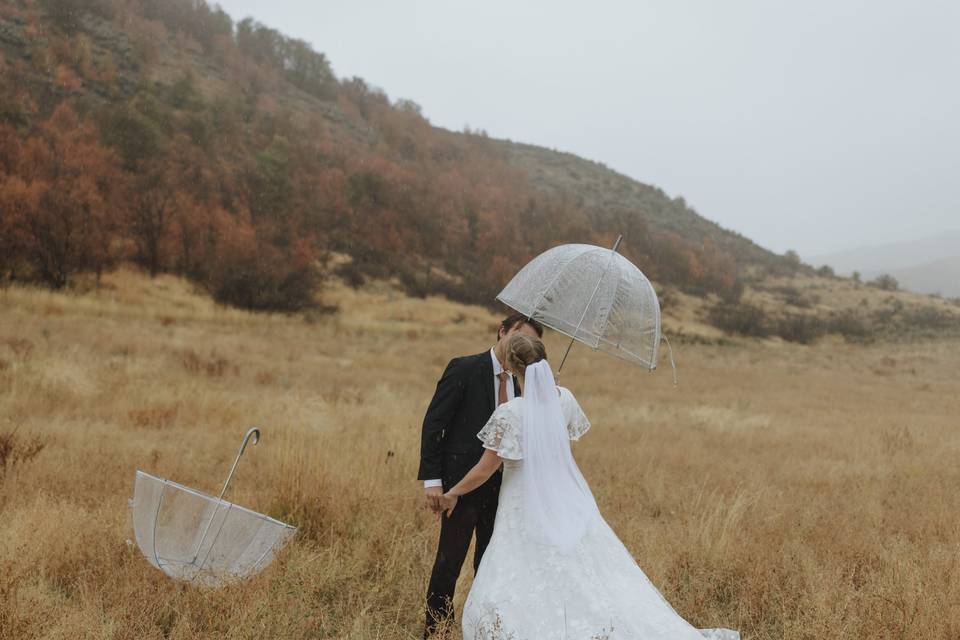 Rainy day