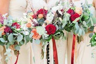 Beautiful red roses