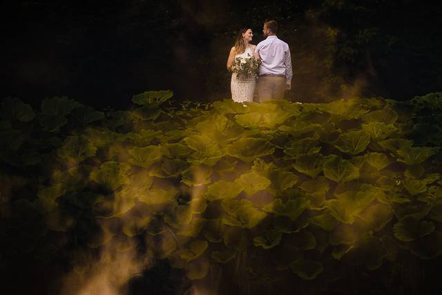 Potok's World Photography