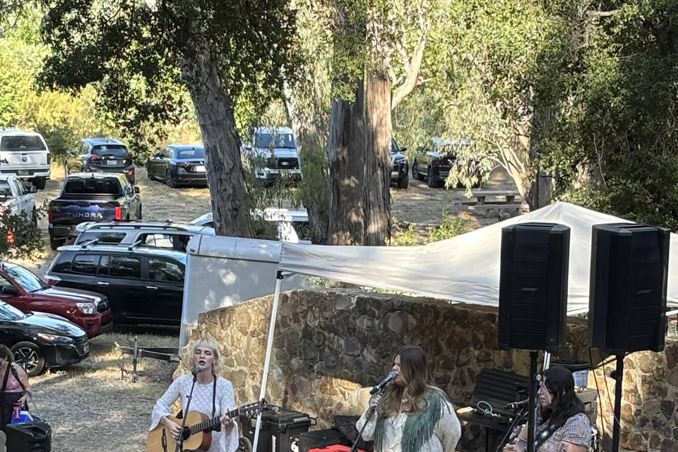 Tree Daddy Sound