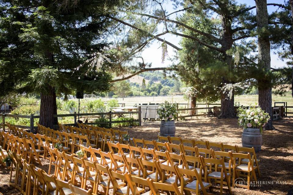 Garden wedding setup