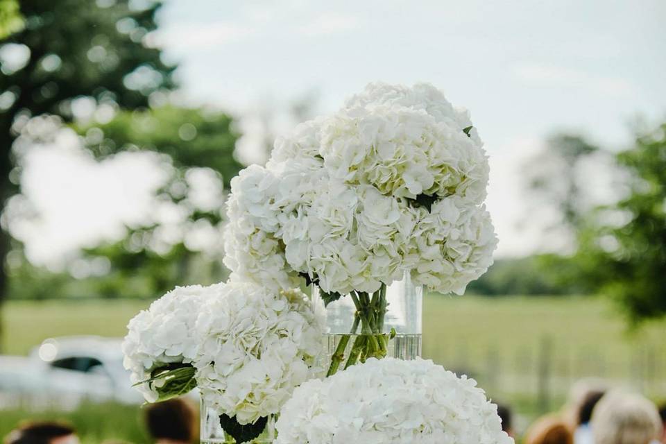 Wedding Flowers