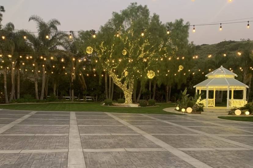 A Twinkle Light Splendor