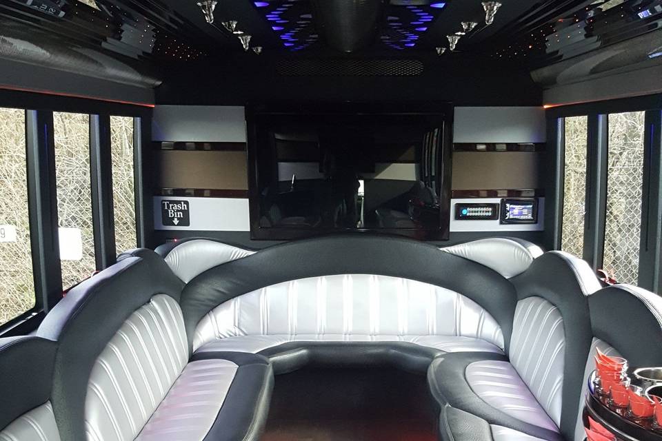 Limo Coach interior
