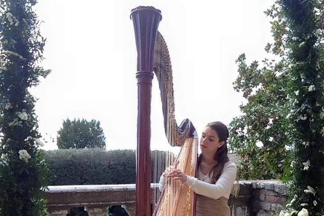 Destination wedding Harpist