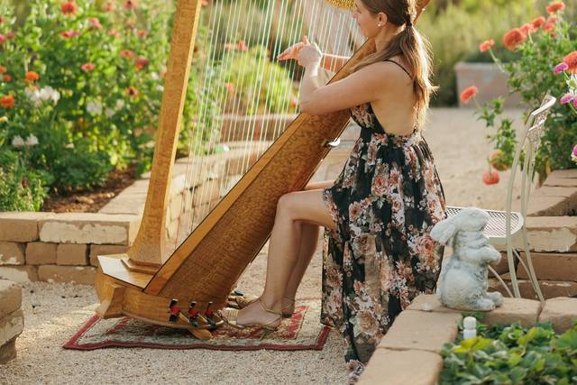 Luxury Harpist SF Bay Area