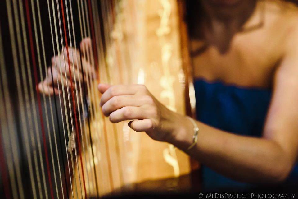 Harp strings