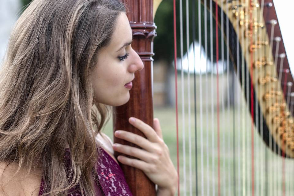 Wedding harpist