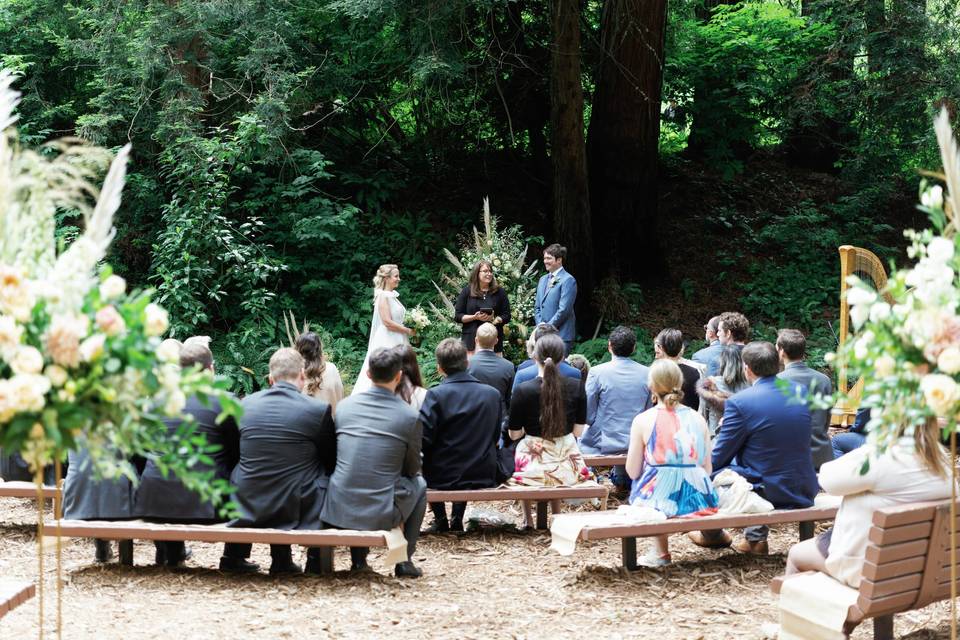 Harpist Wedding San Francisco