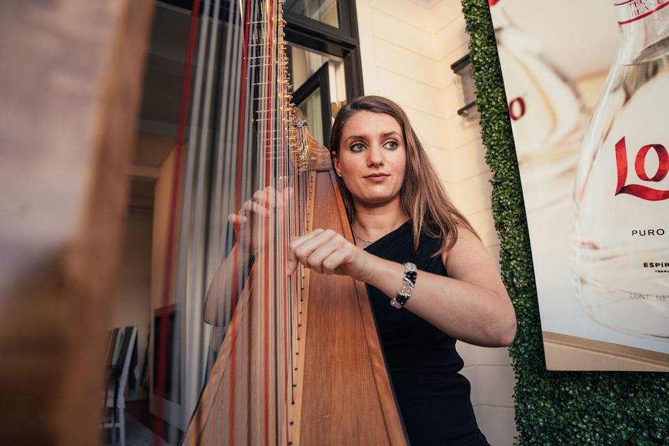 Harpist Marin