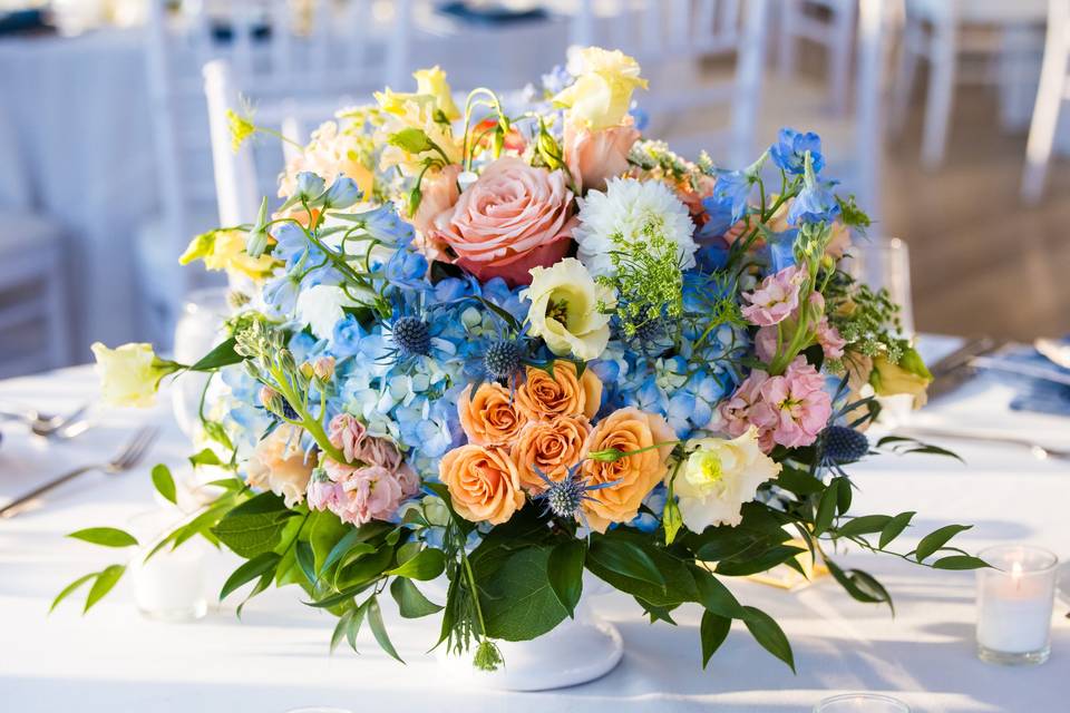 Bright peach and blue